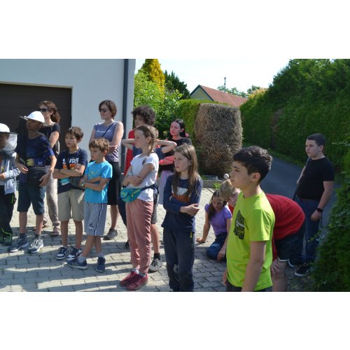 Bild 3 zum Block 5529