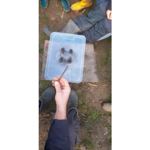 Bild 26 zum Block 5391