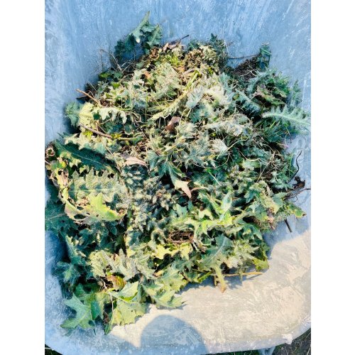 Bild 11 zum Block 6226