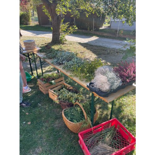 Bild 3 zum Block 6426